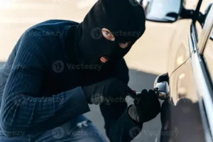 Was tun gegen Mäuse in der Garage? So lassen sich Nager vertreiben und Zugänge zur Garage dauerhaft absichern