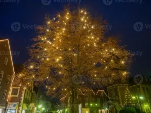 Wie viel Meter Lichterkette für den Weihnachtsbaum? Die passende Länge der Lichterkette nach Baumgröße berechnen